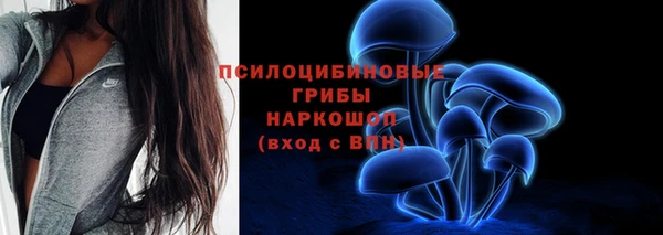 гашик Алексеевка