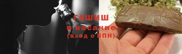 гашик Алексеевка