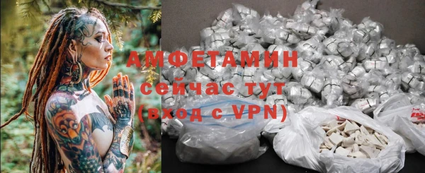 гашик Алексеевка