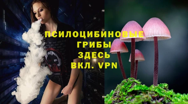 гашик Алексеевка
