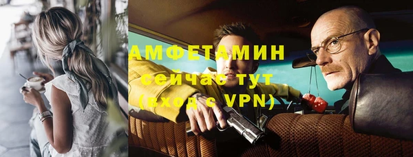 гашик Алексеевка