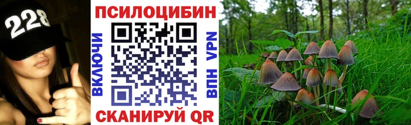 Галлюциногенные грибы Psilocybe  Алексеевка 