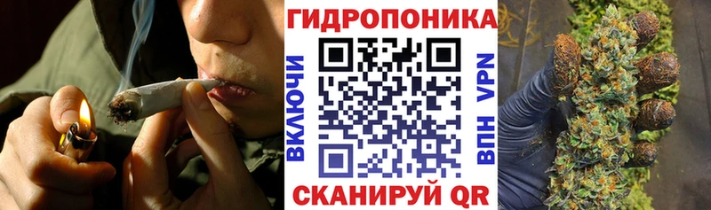 дарнет шоп  Алексеевка  МАРИХУАНА семена 